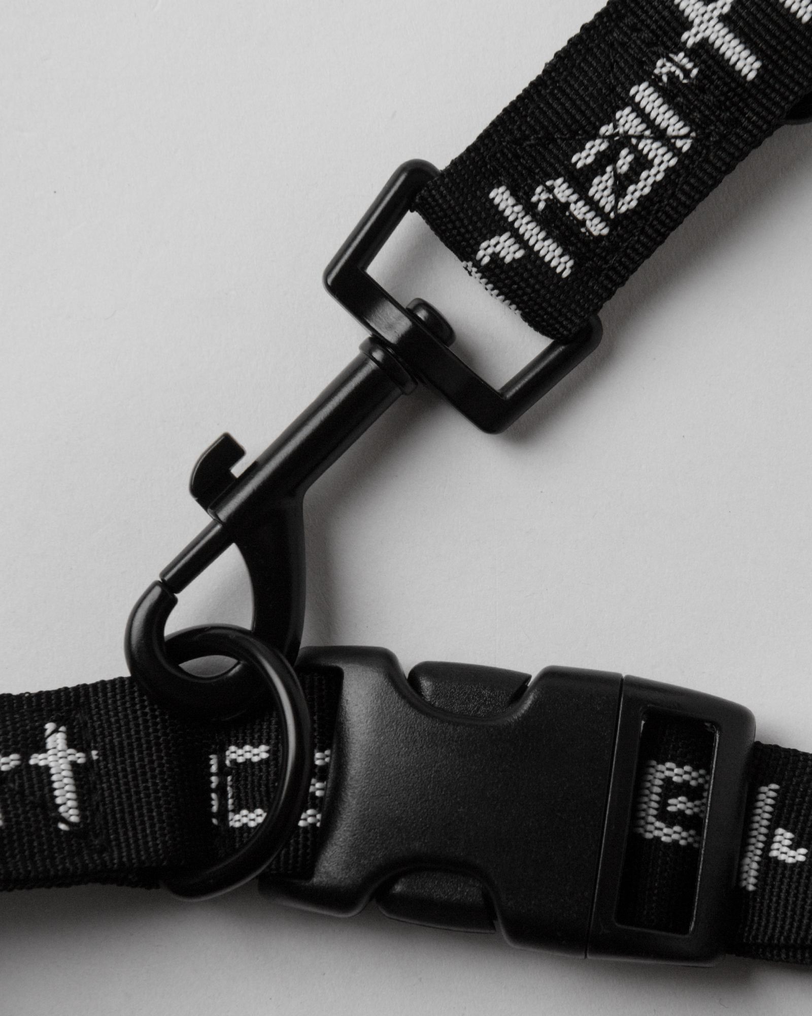 Script Dog Leash & Collar