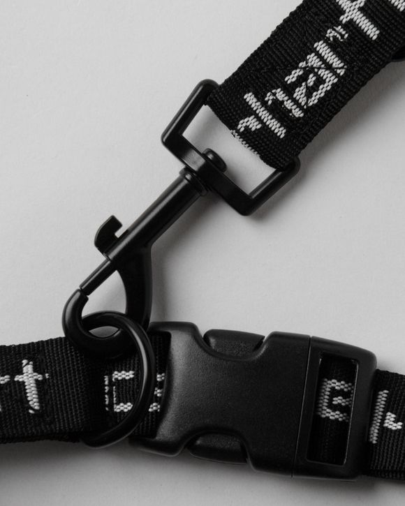 Script Dog Leash & Collar