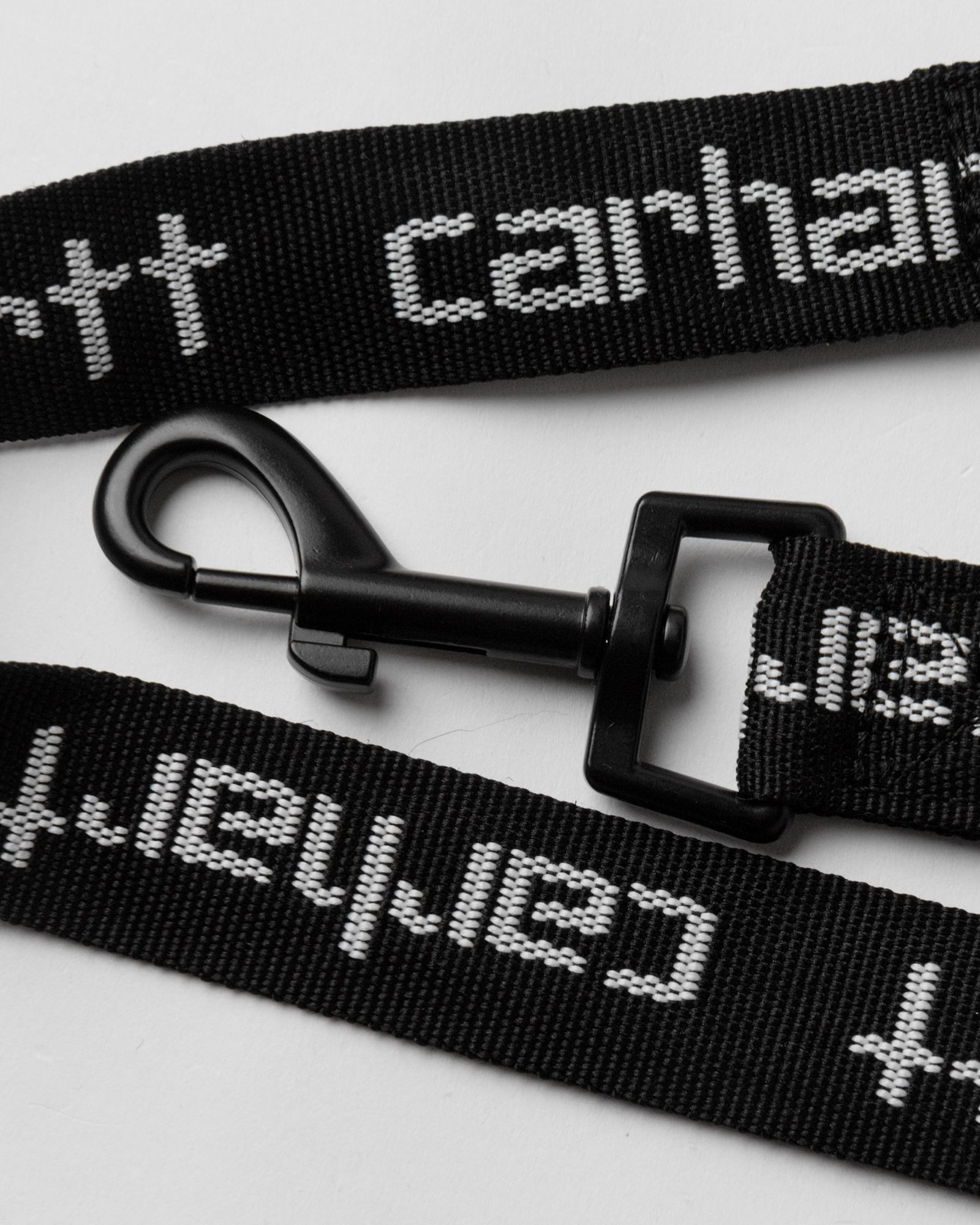 Script Dog Leash & Collar