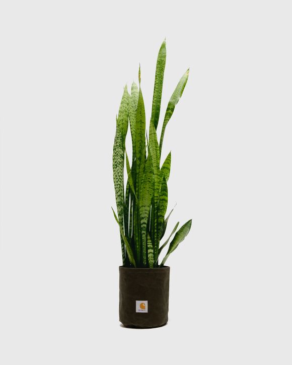 Thumbnail - Canvas Planter Set