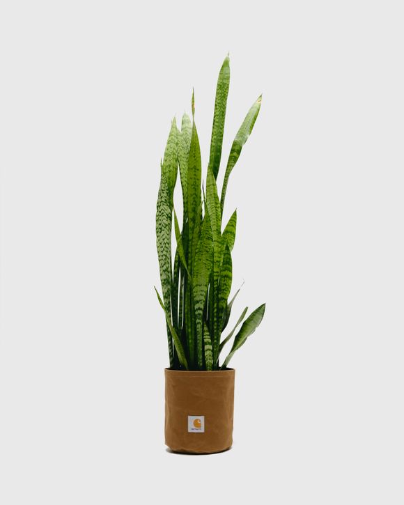 Canvas Planter Set