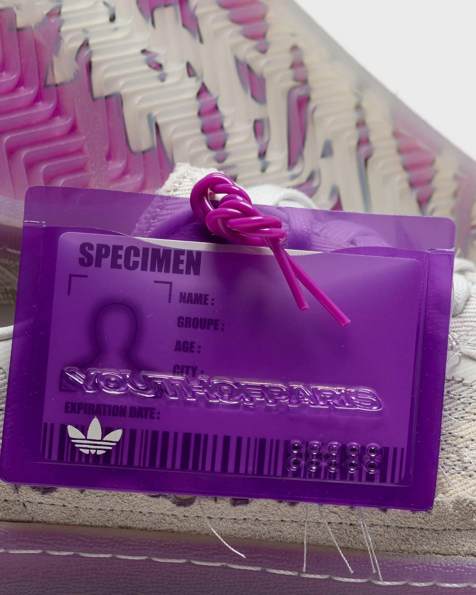 CAMPUS YOUTH OF PARIS