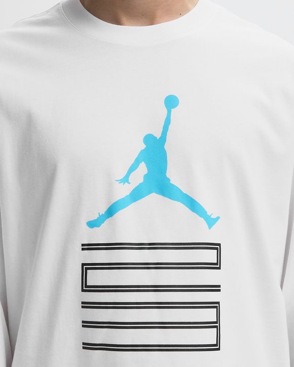 BRK AJ11 GFX LS CREW