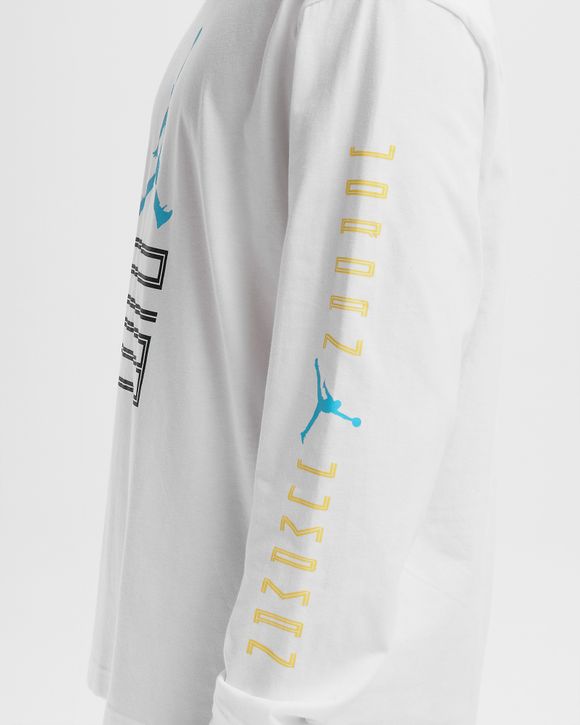 BRK AJ11 GFX LS CREW