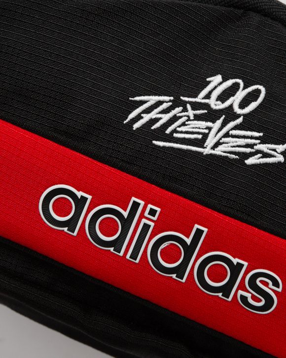 x 100 Thieves BAG