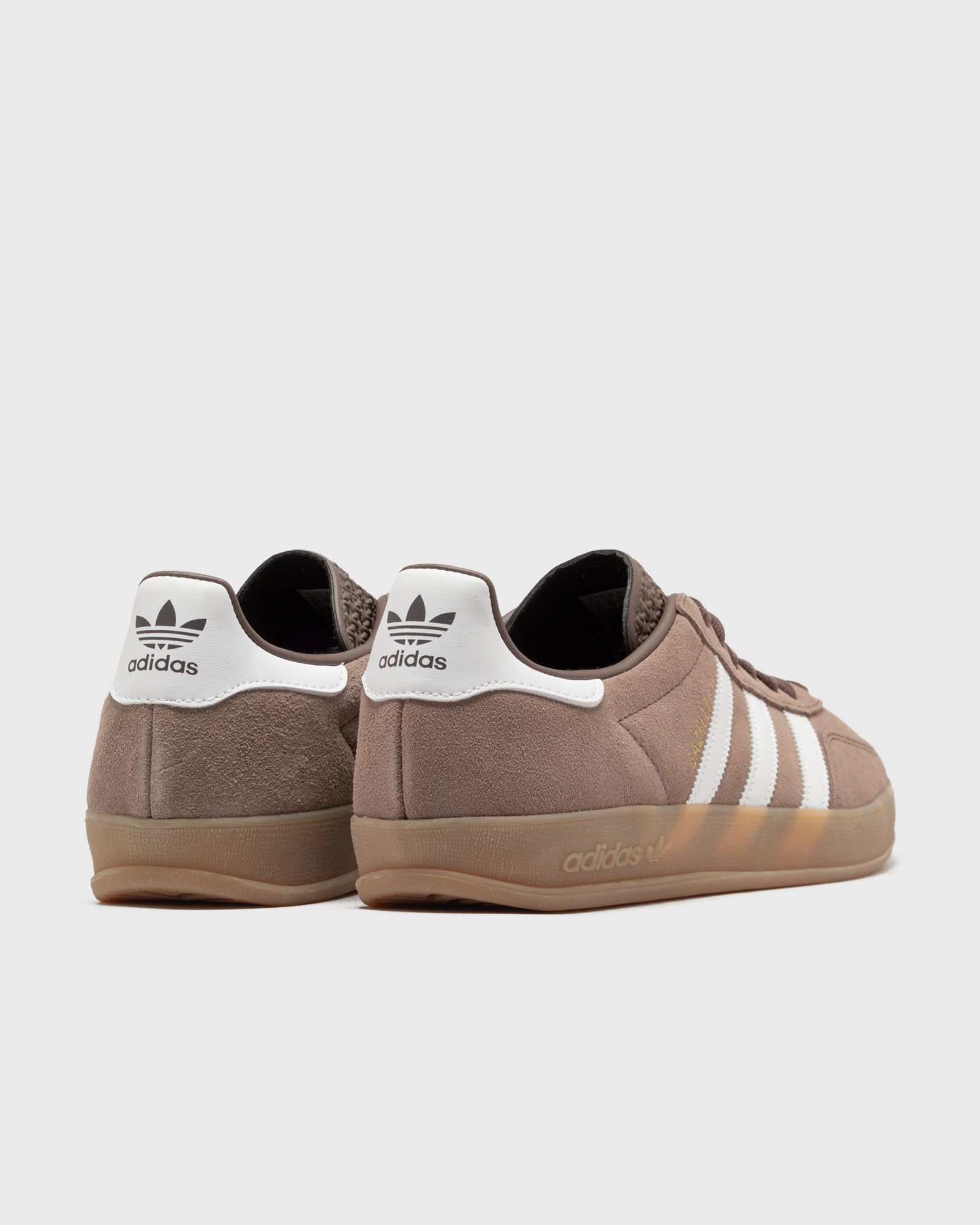 GAZELLE INDOOR