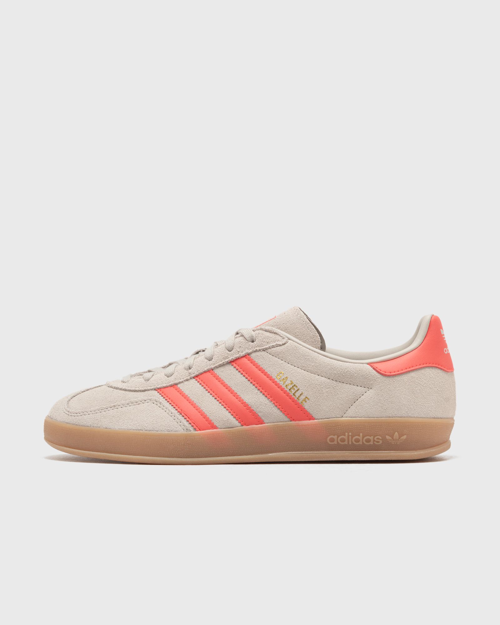 GAZELLE INDOOR