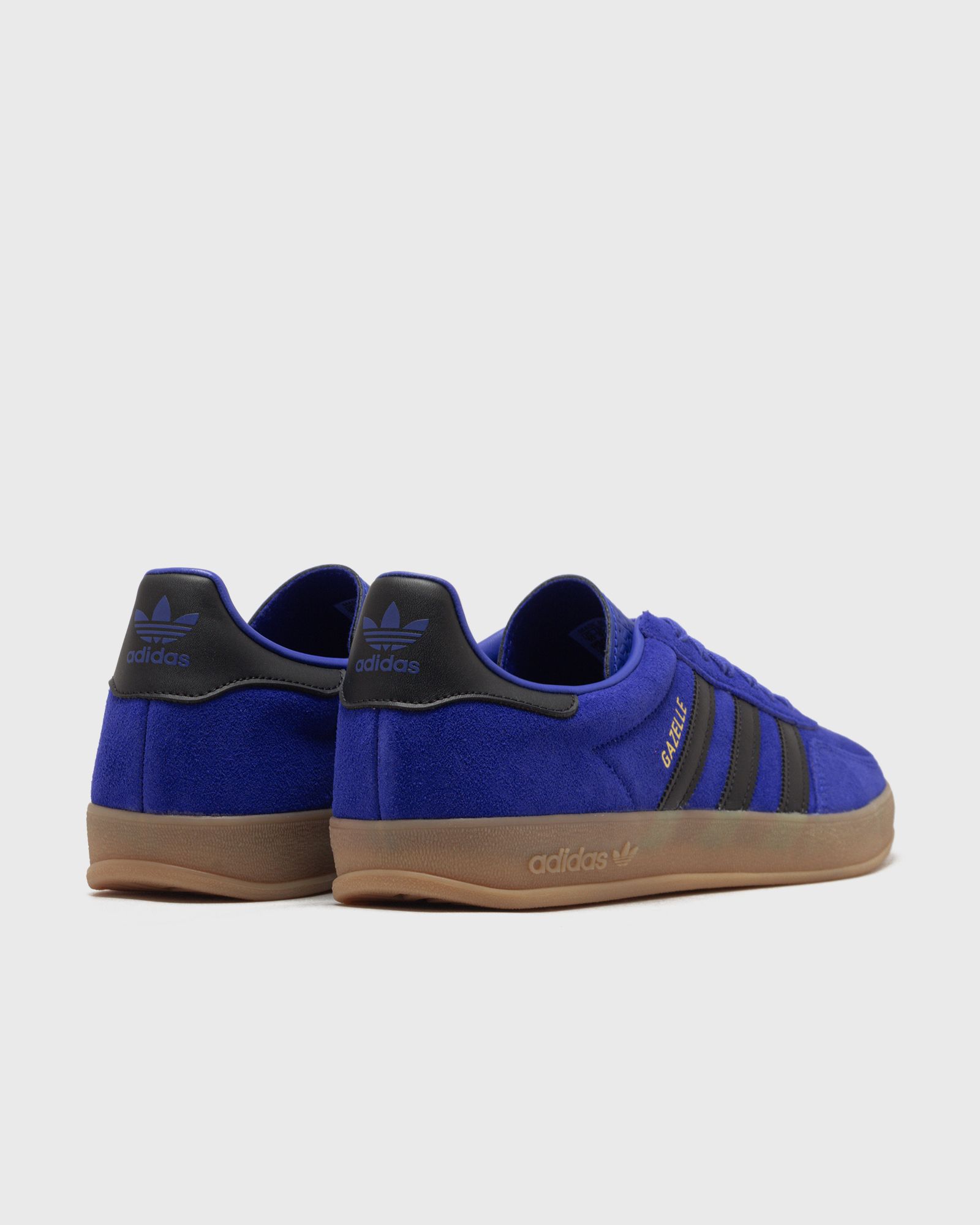 GAZELLE INDOOR