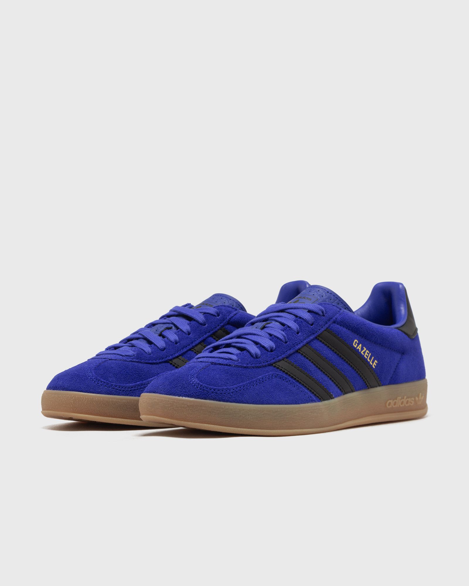 GAZELLE INDOOR