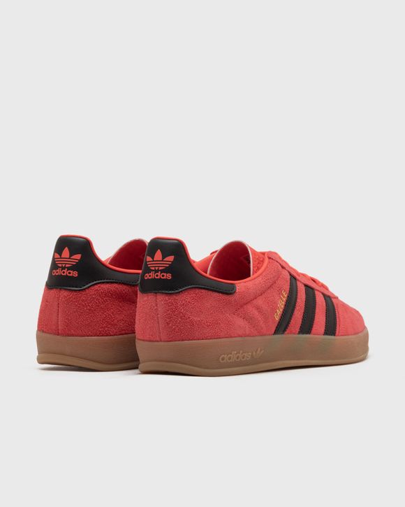 GAZELLE INDOOR
