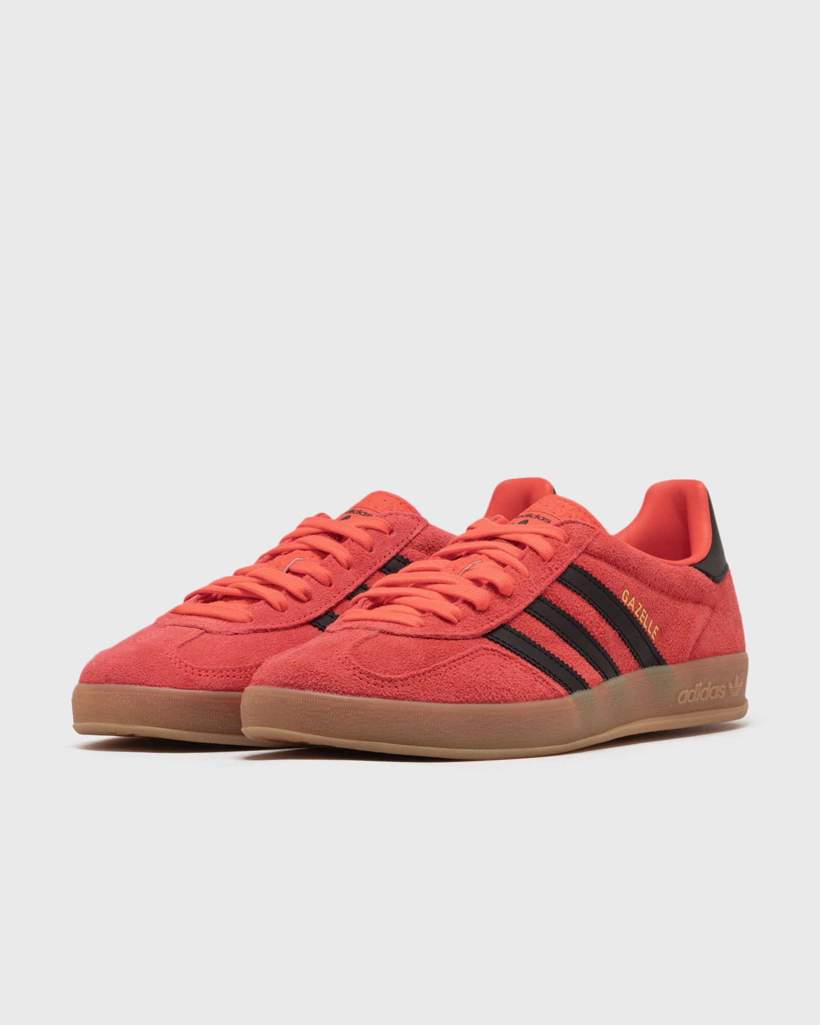 GAZELLE INDOOR