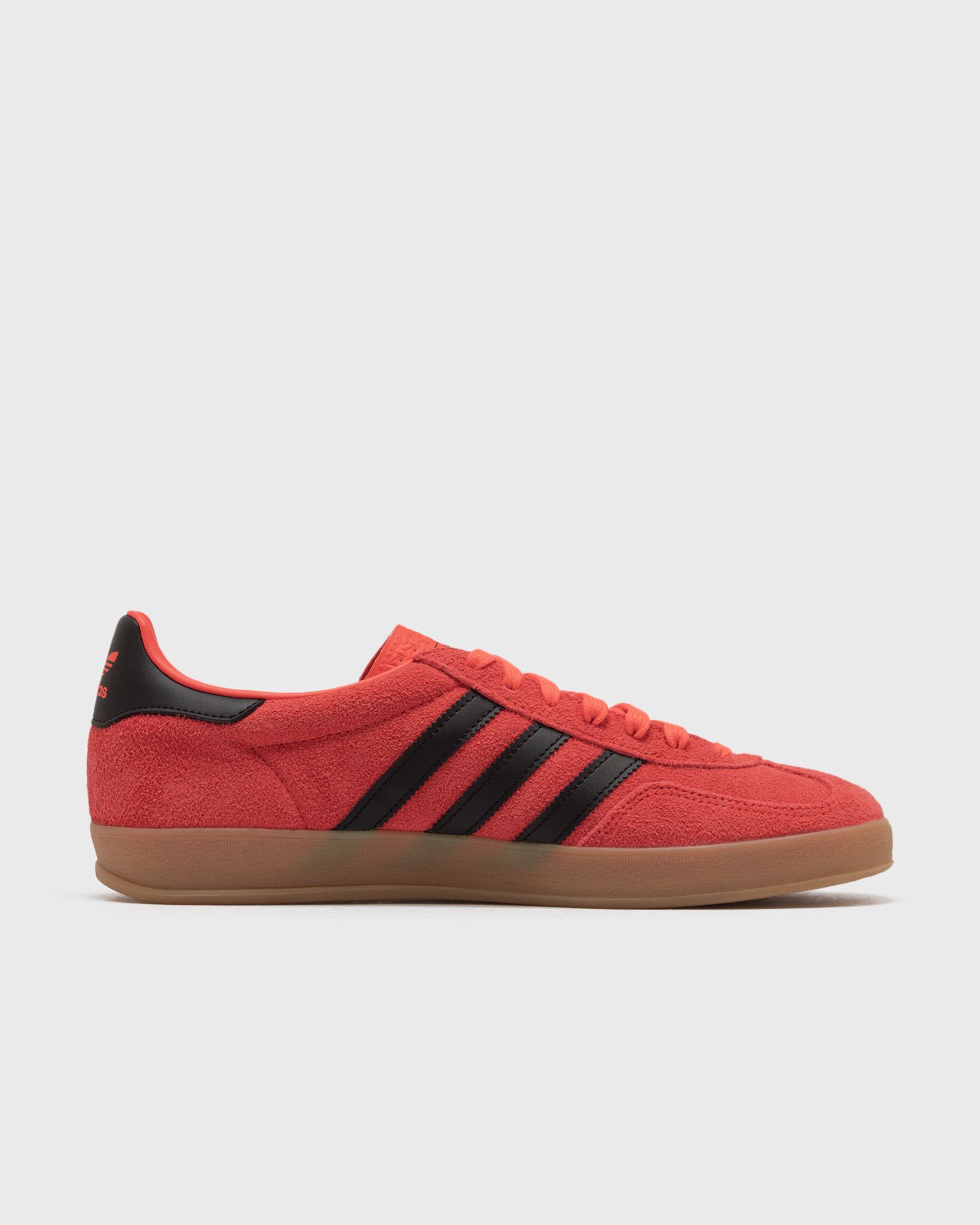 GAZELLE INDOOR