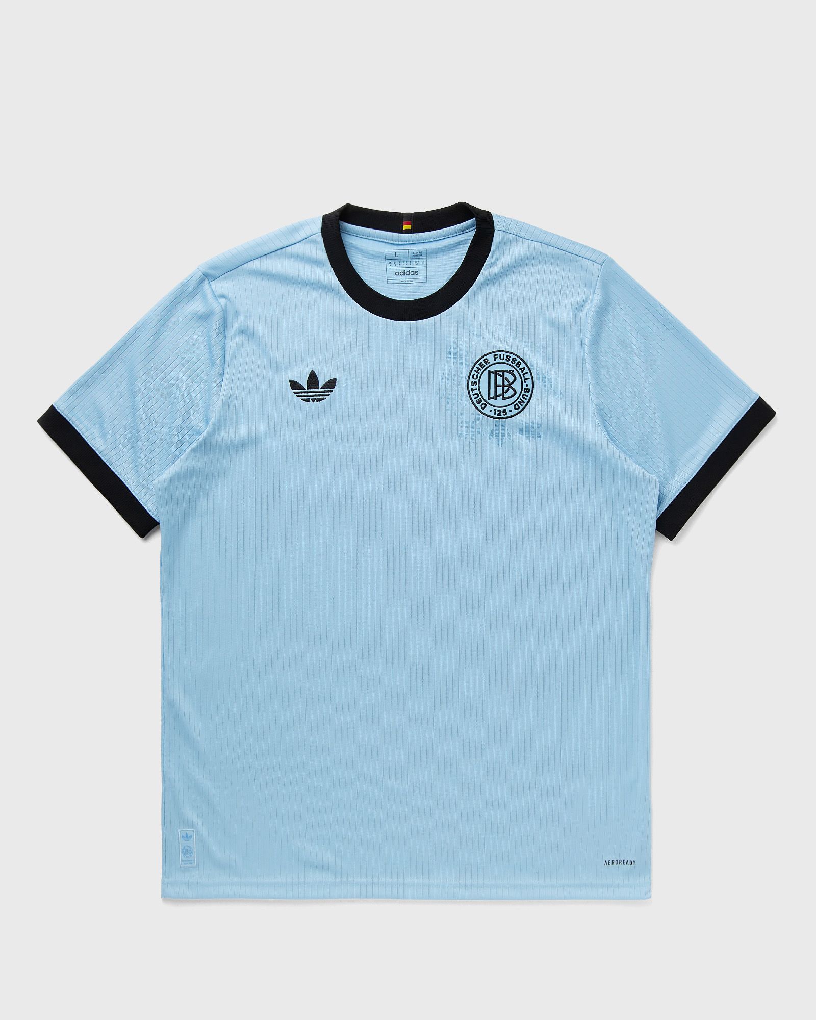 DFB 125 JERSEY