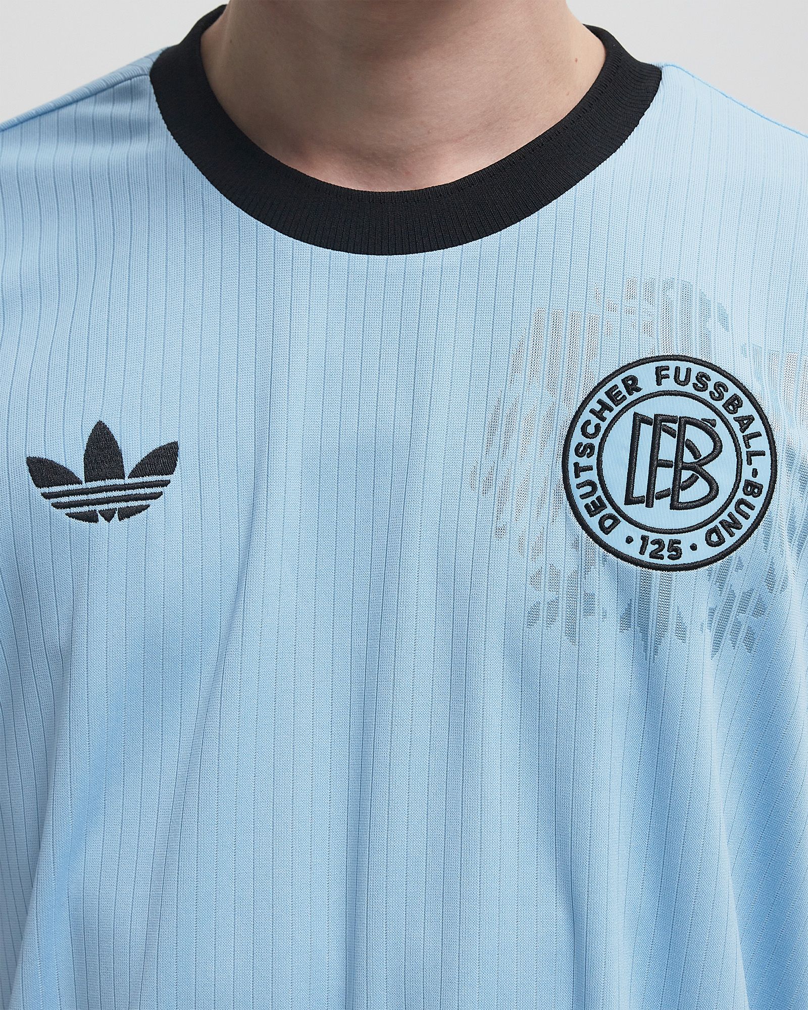 DFB 125 JERSEY