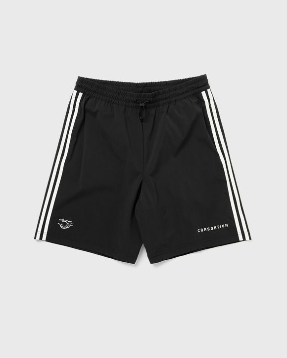 SHORTS CONSORTIUM