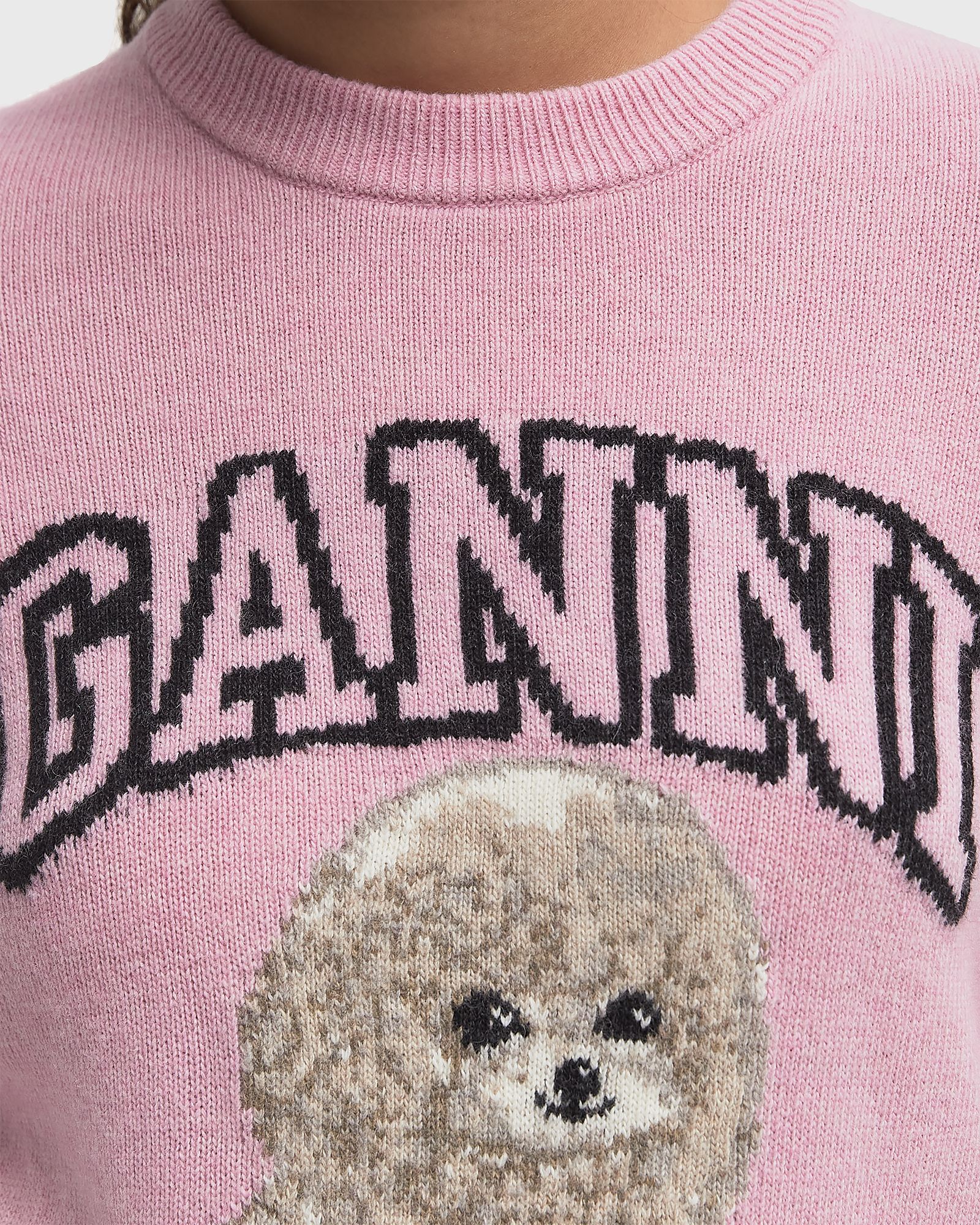 Graphic Wool Mix Poodle Crewneck
