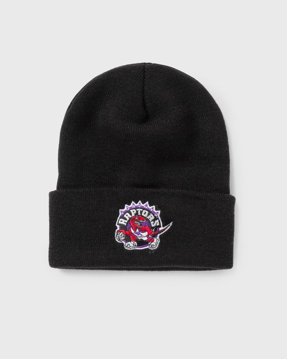 Toronto store raptors beanie