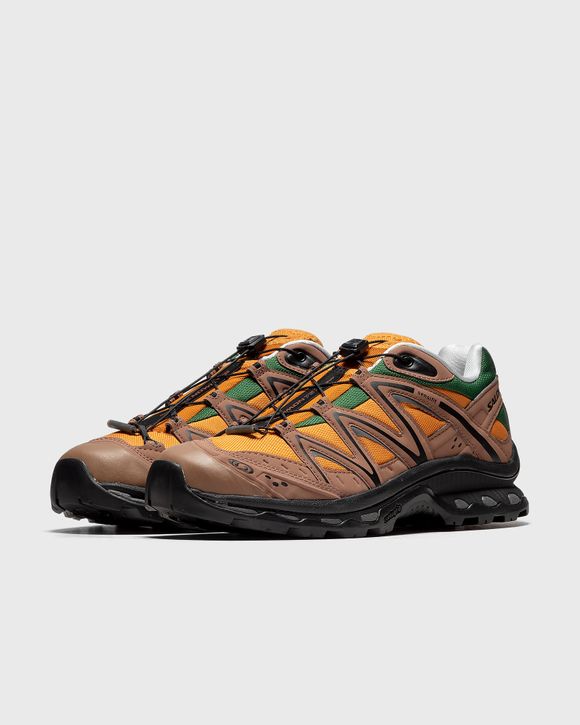 XT-QUEST 75TH
