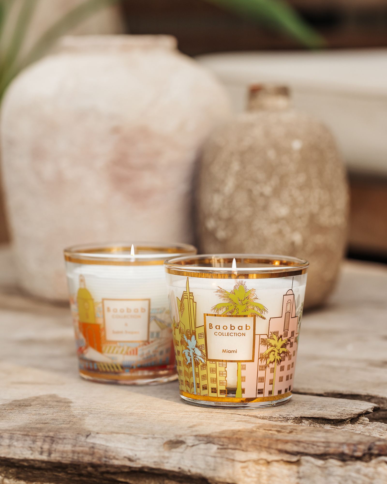 My First Baobab Miami - 190 GR