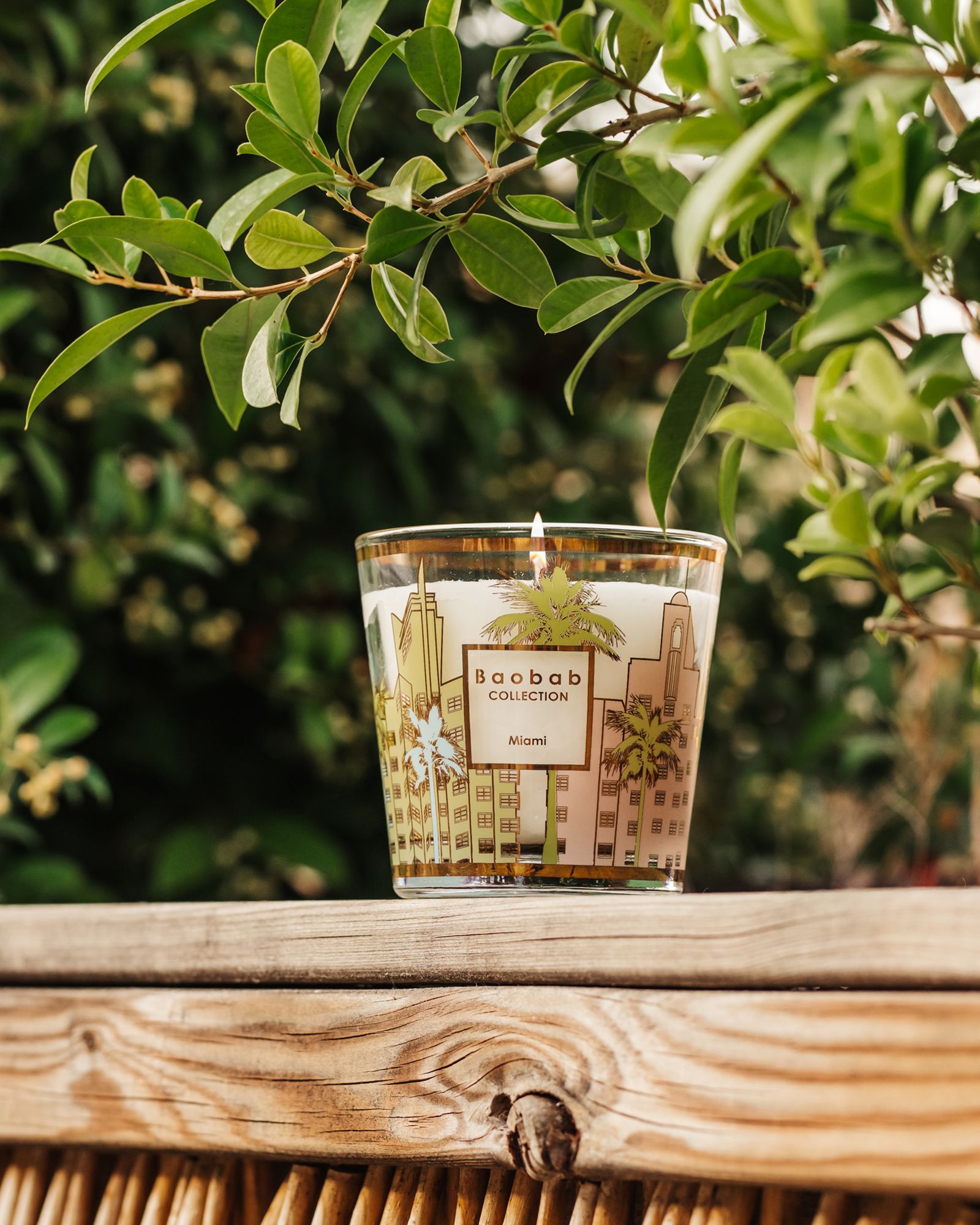 My First Baobab Miami - 190 GR