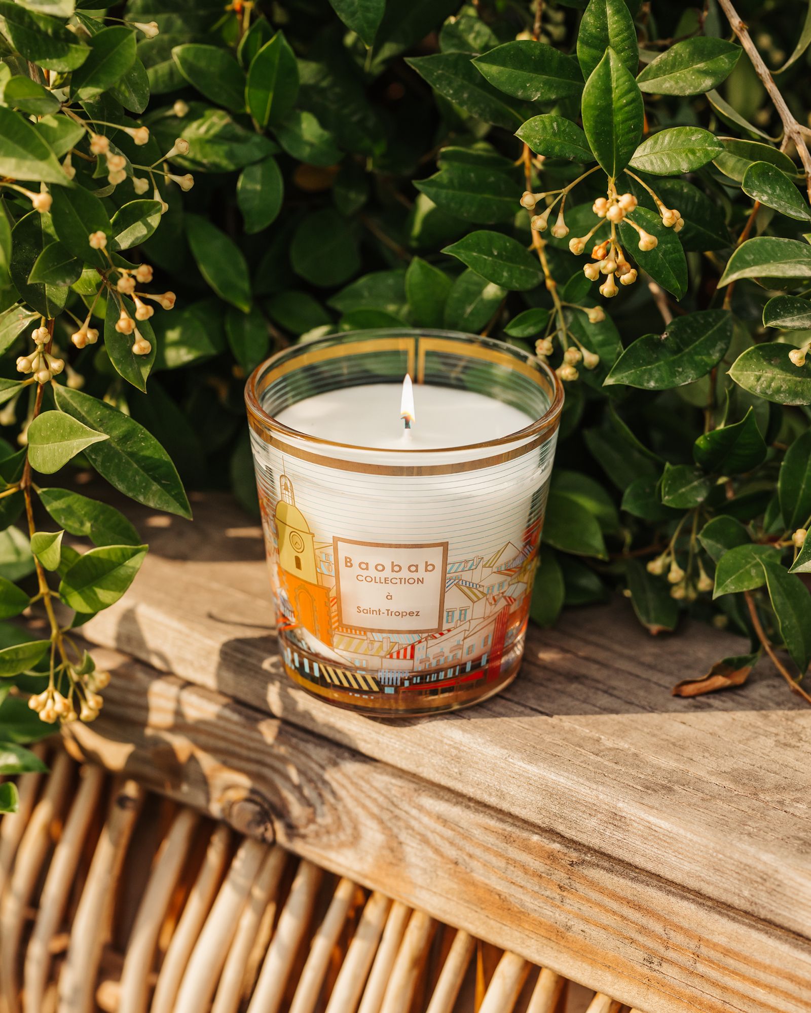 My First Baobab à Saint-Tropez - 190 GR