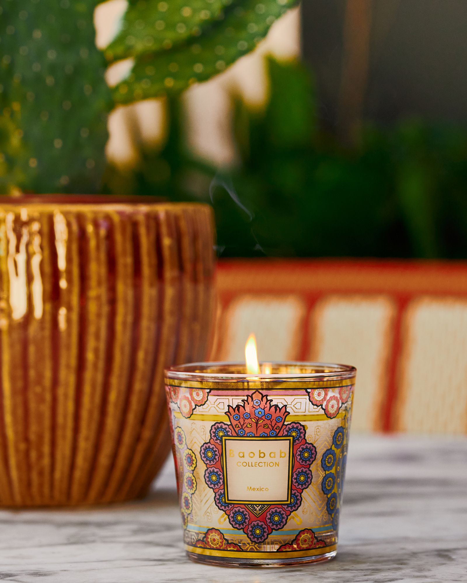 My First Baobab Mexico - 190 GR