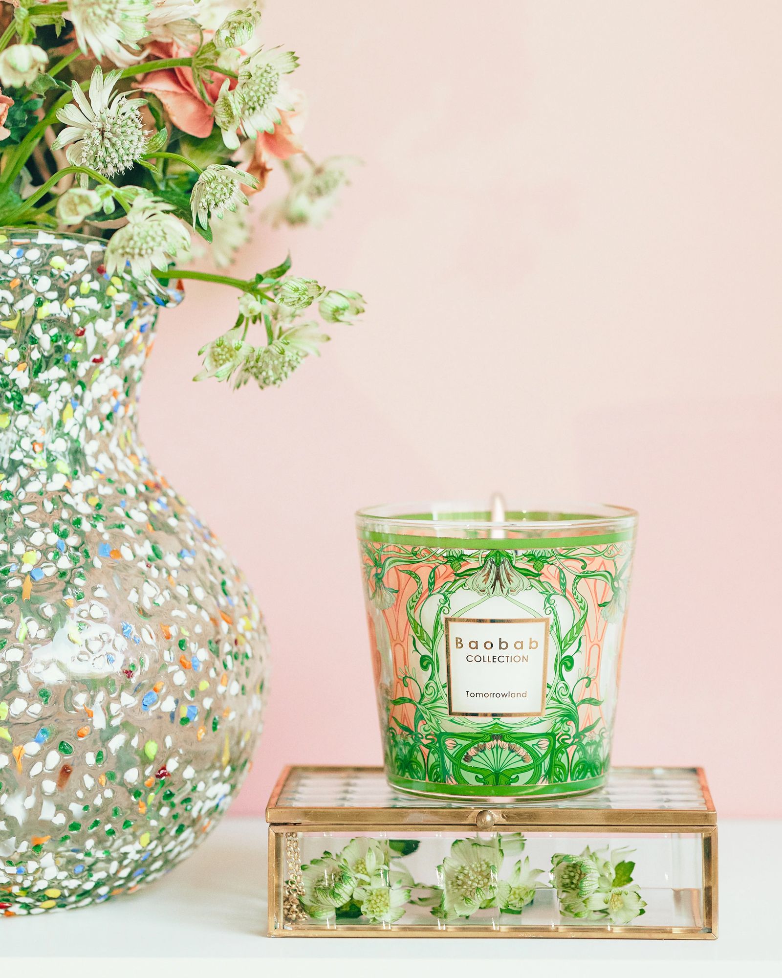 My First Baobab Tomorrowland 2024 - 190 GR