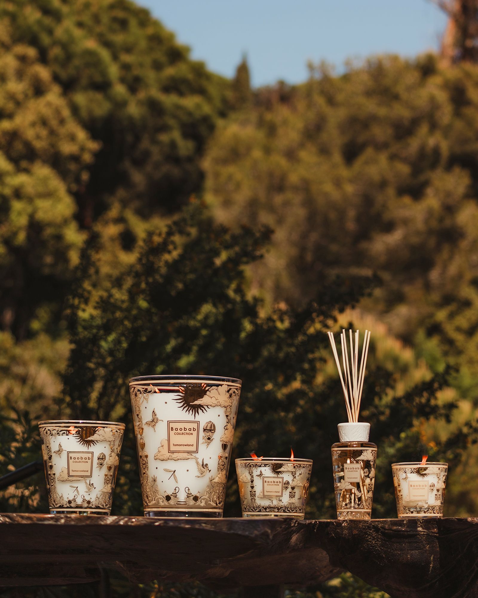 My First Baobab Tomorrowland 2025 - 200GR