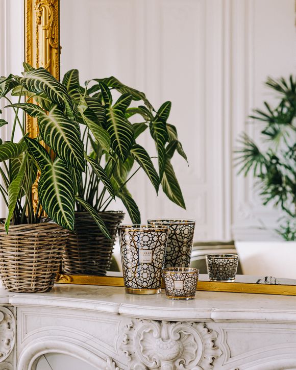 Max 10 Arabian Nights - 500GR