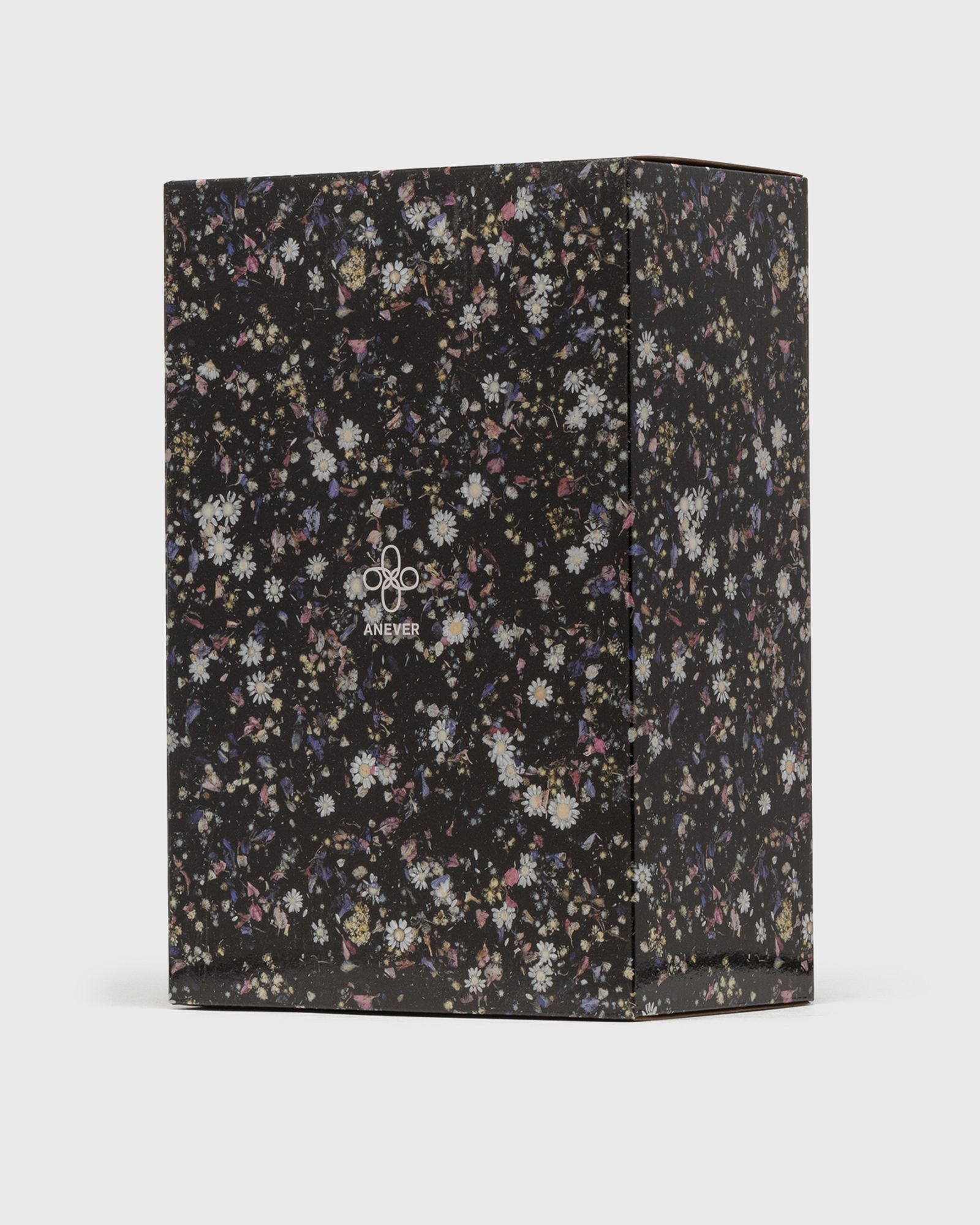 BEARBRICK 1000% ANEVER BLACK