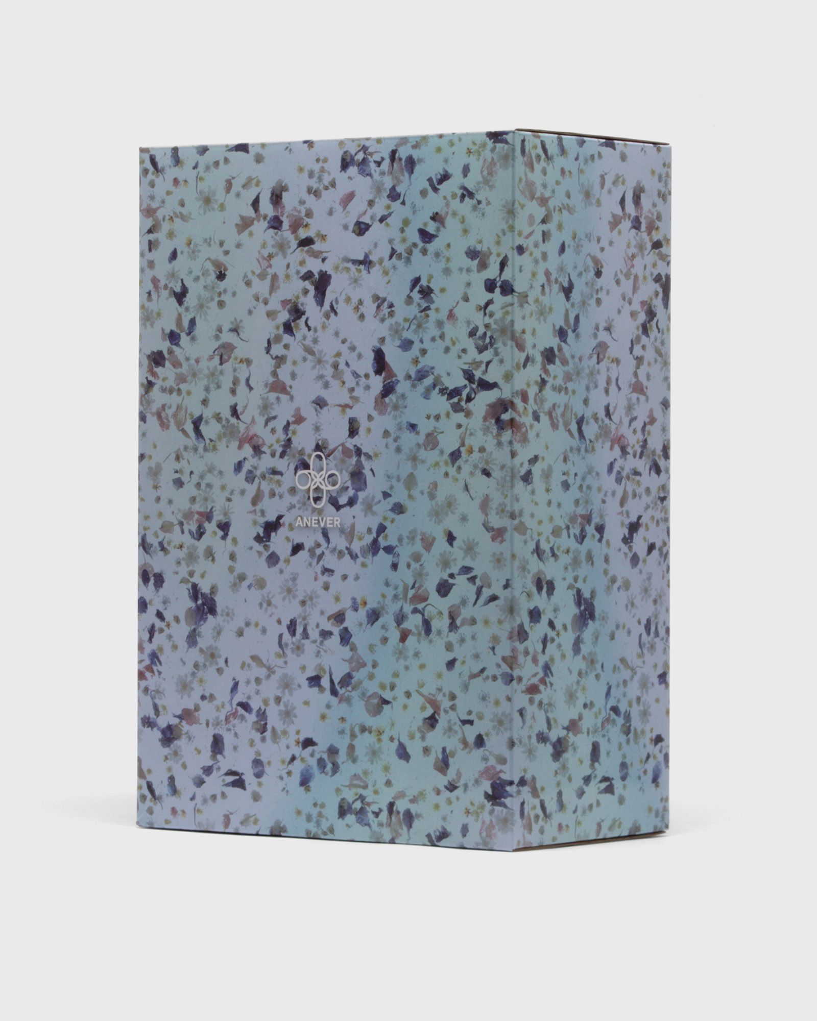 BEARBRICK 1000% ANEVER VERSION 3