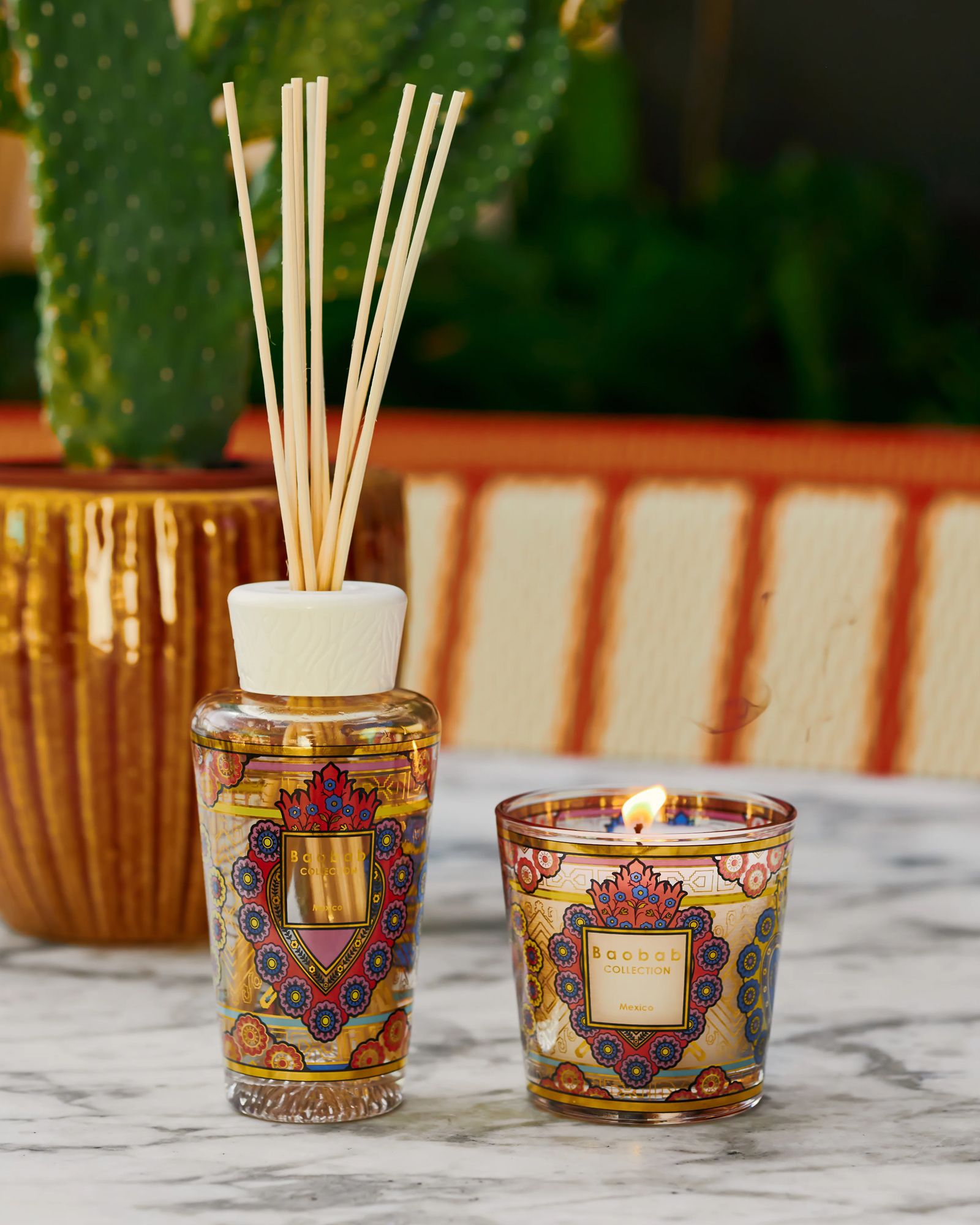 My First Baobab Gift Box Mexico