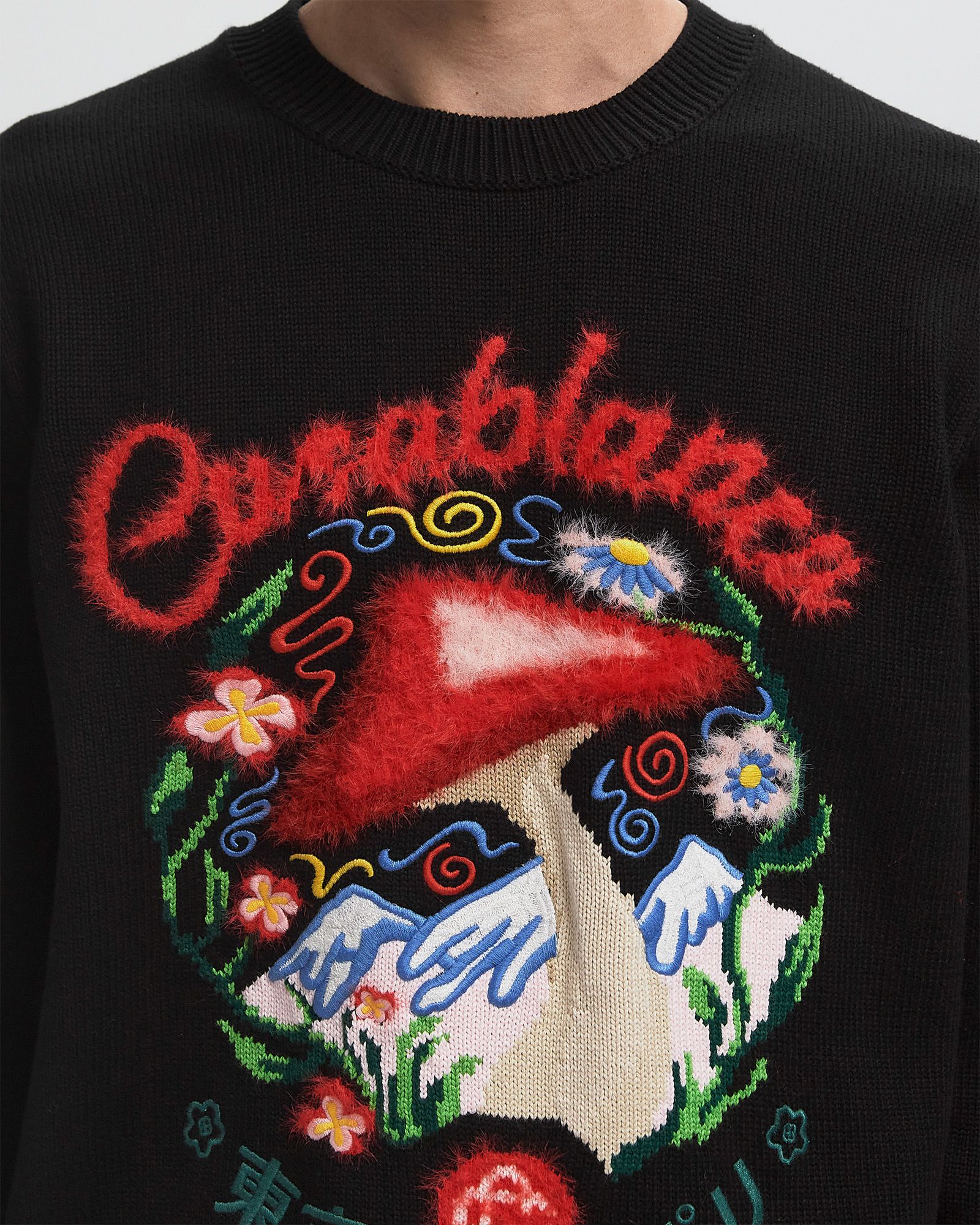 MUSHROOM EMBLEM INTARSIA CREW