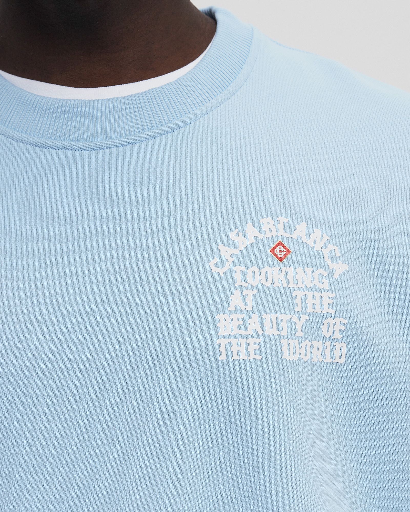 LOOKING AT THE BEAUTY OF THE WORLD SWEATSHIRT