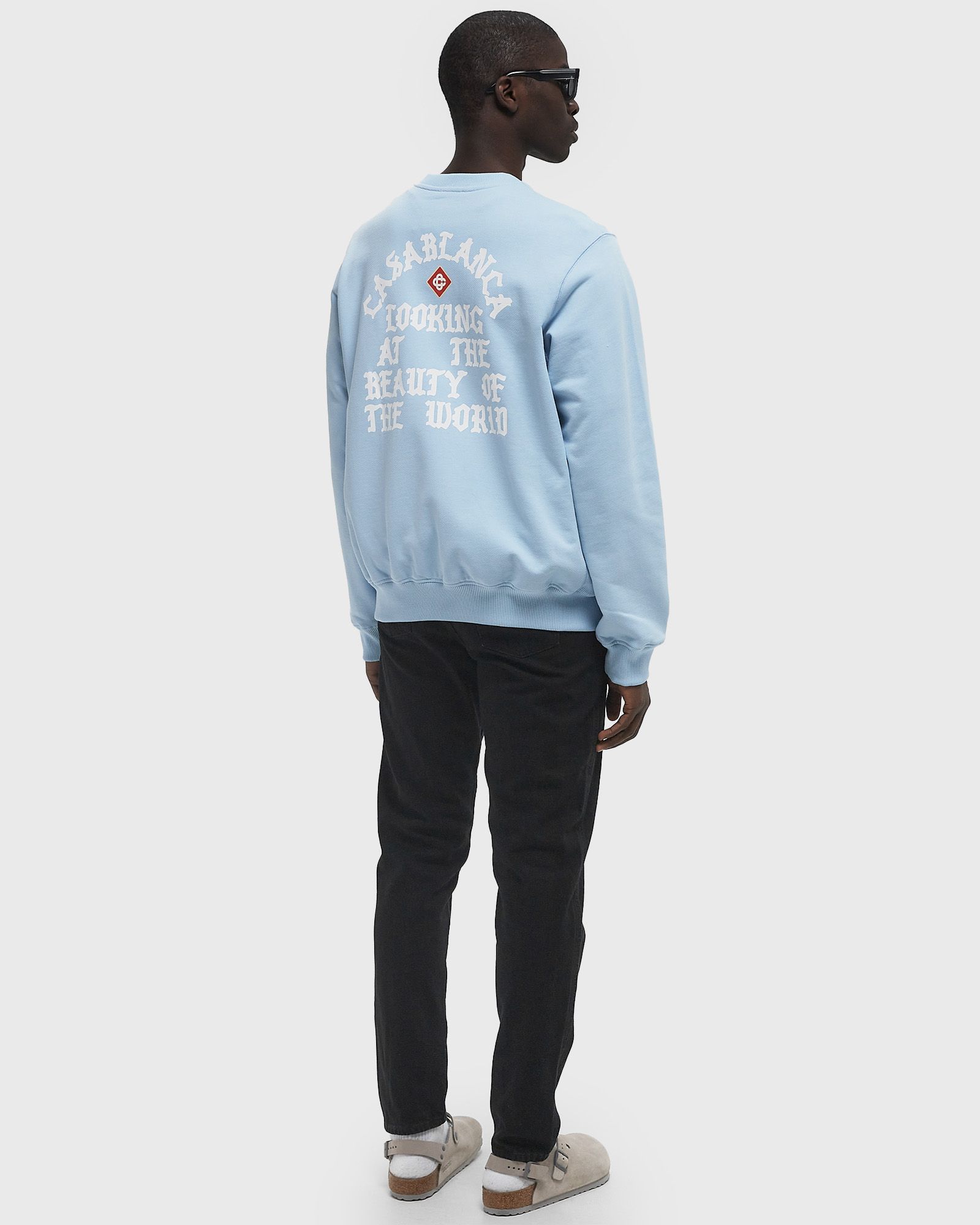 LOOKING AT THE BEAUTY OF THE WORLD SWEATSHIRT