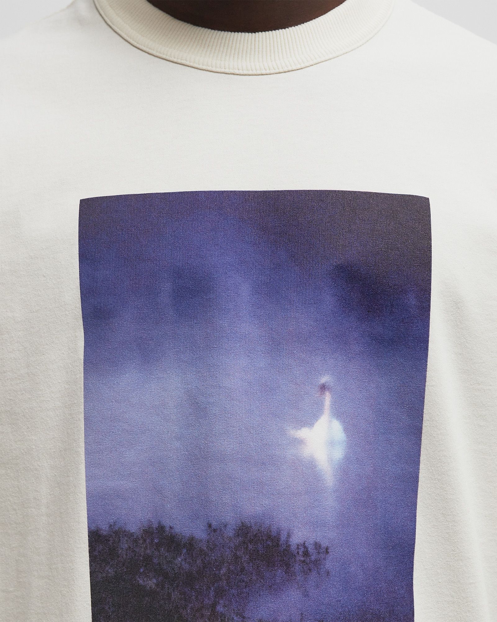 Barbour x Noah Archive Swan T-Shirt Grey | BSTN Store