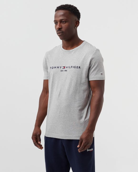 Tommy Hilfiger CORE TOMMY LOGO TEE Grey Light Grey Heather