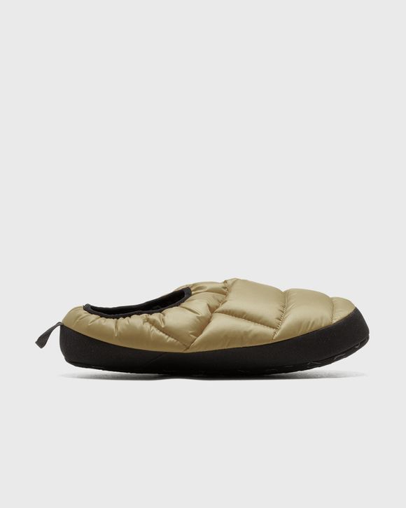 Tent mules online