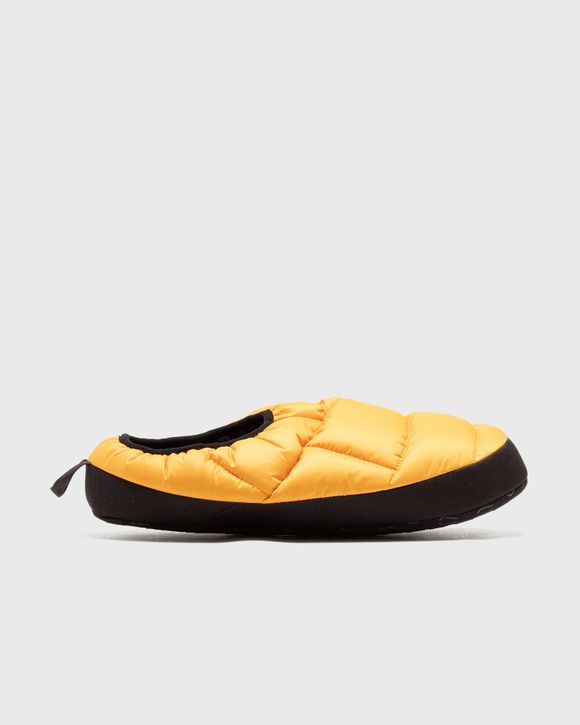 Tent mules outlet