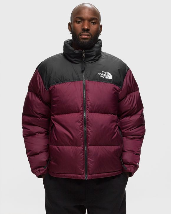 The north face nuptse 2024 hooded