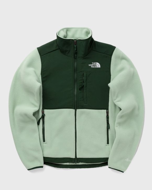 Nike ACG Arctic Wolf Polartec Oversized Fleece Full-Zip Jacket Green