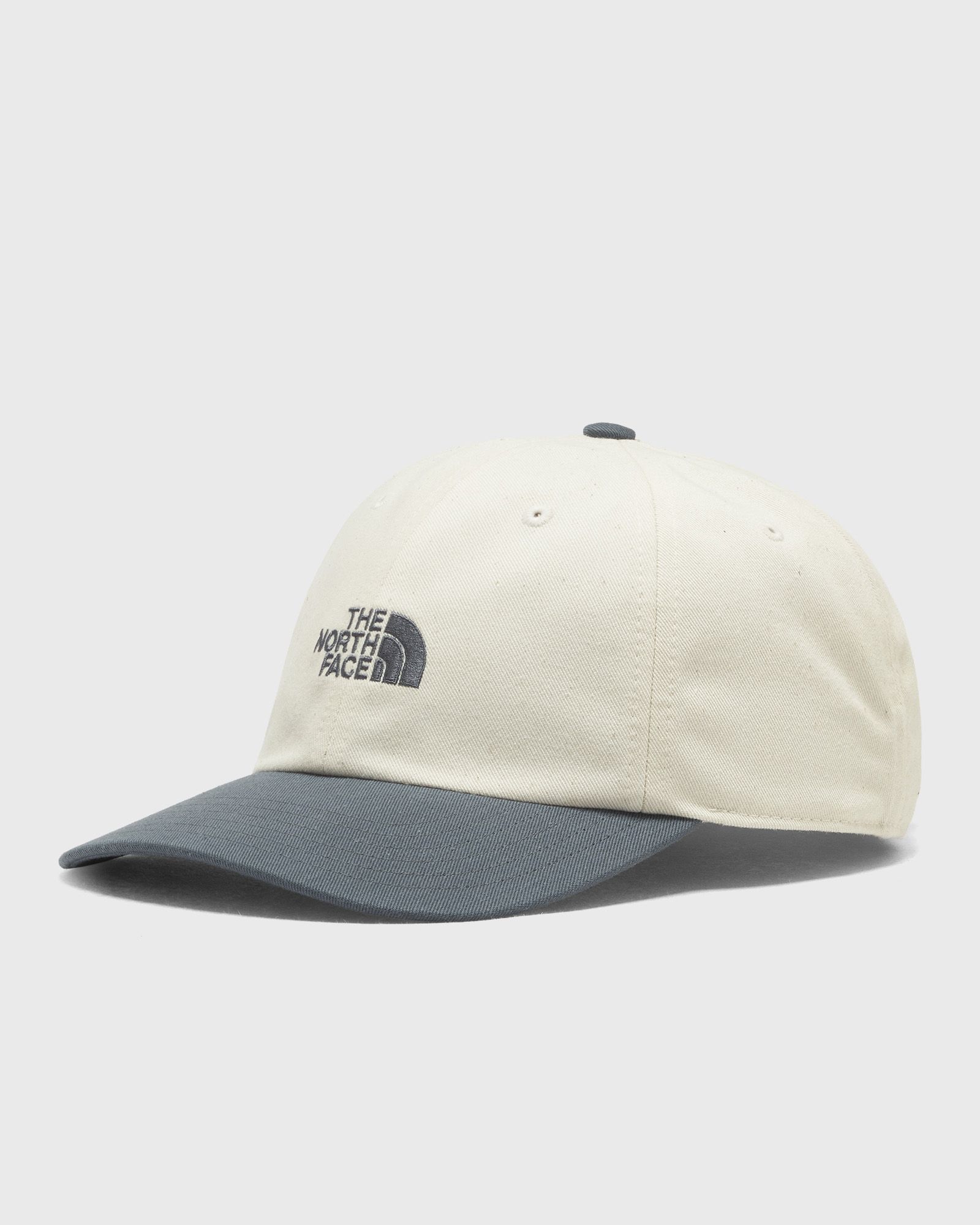 The North Face The North Face ROOMY NORM HAT in grey