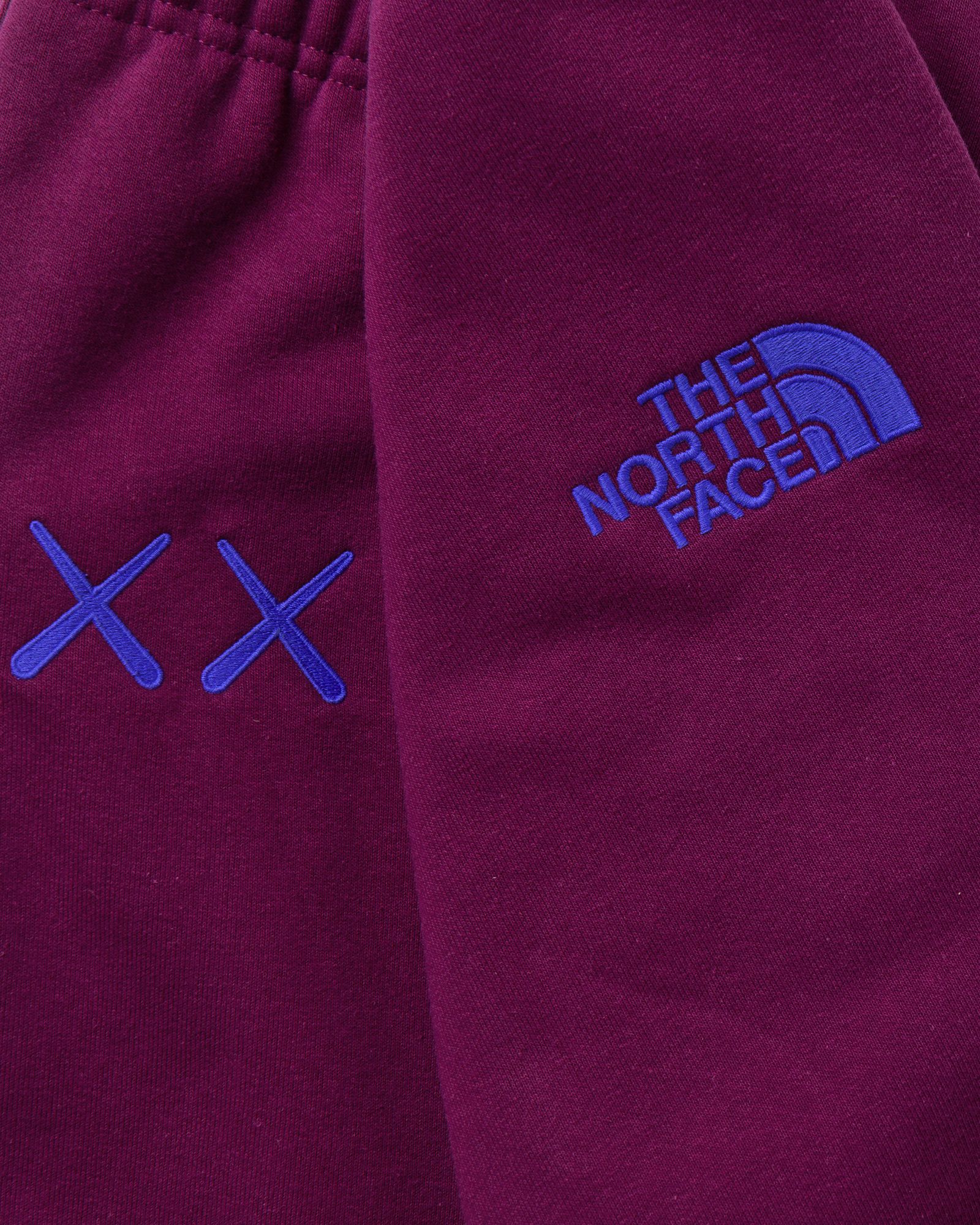 TNF x KAWS SWEATPANTS