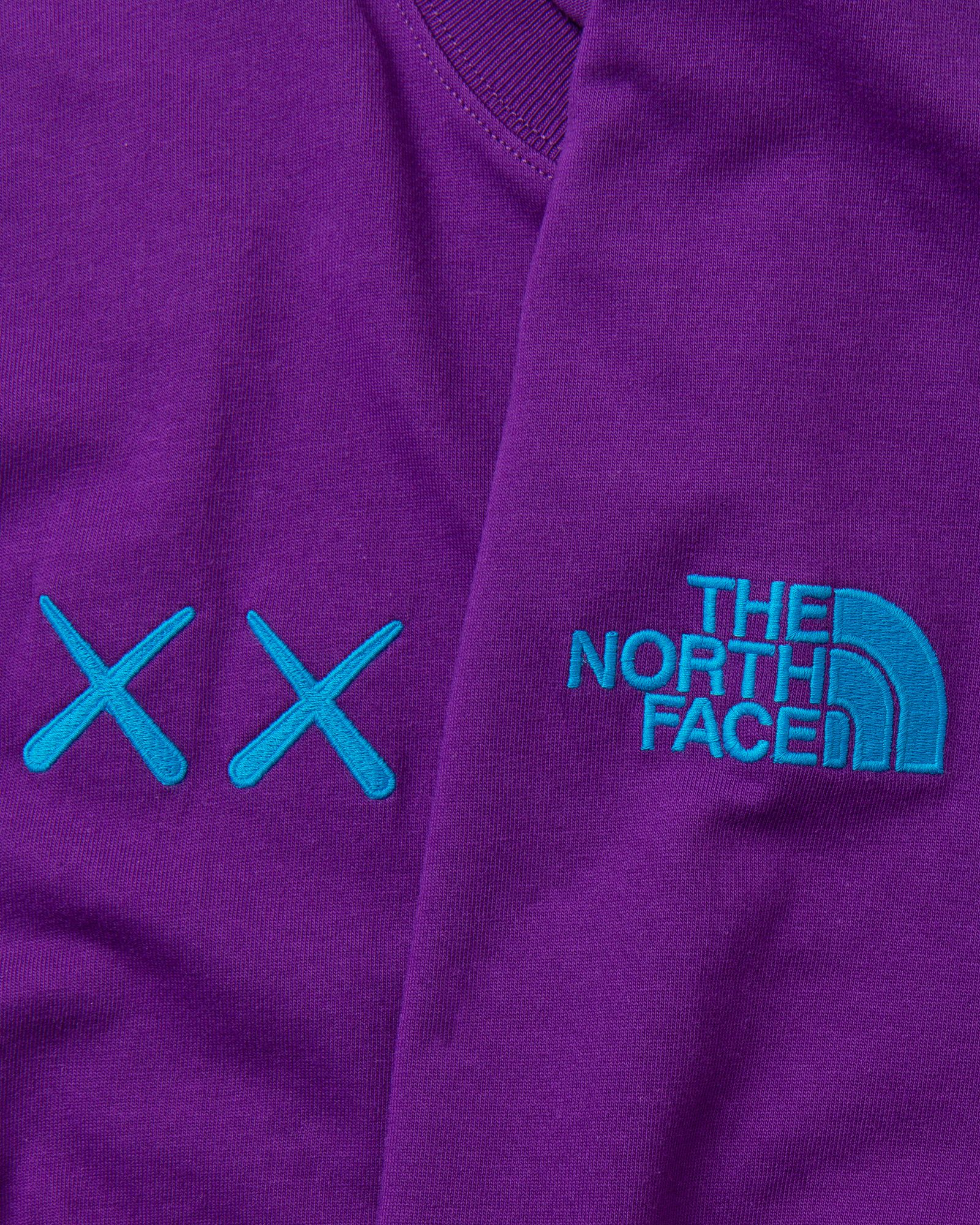TNF X KAWS TEE 
