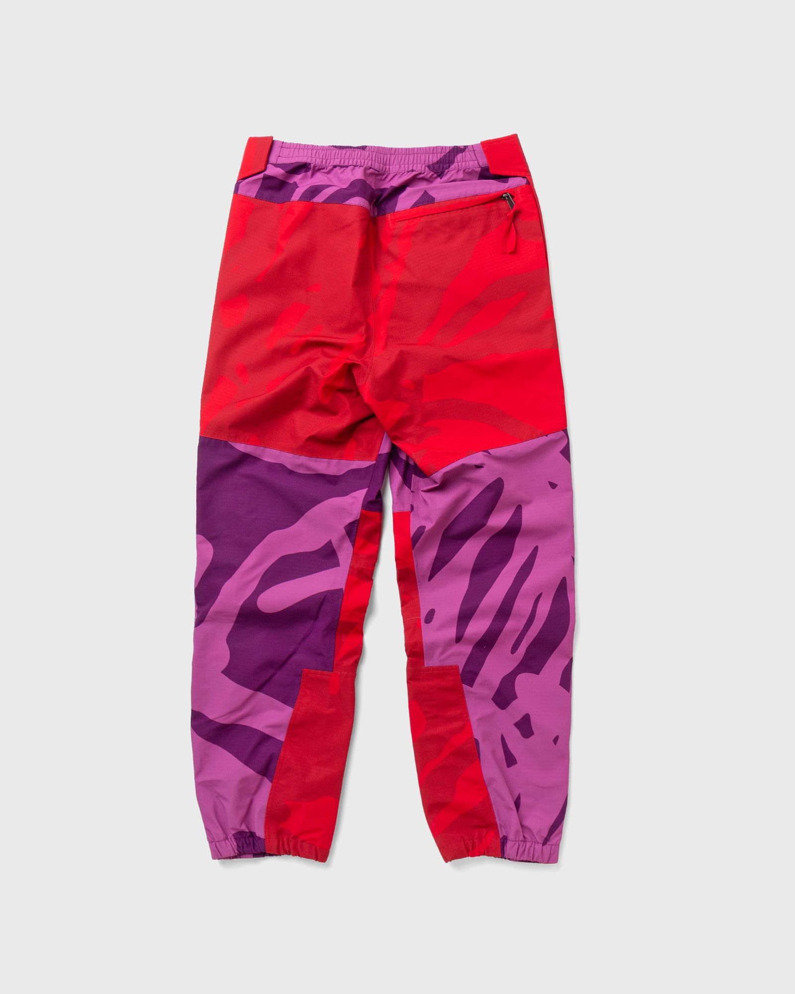 TNF X KAWS MOUNTAIN LIGHT PANT