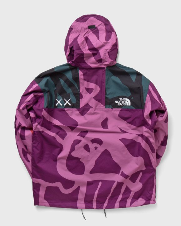 TNF x KAWS RETRO 1986 MOUNTAIN JACKET 