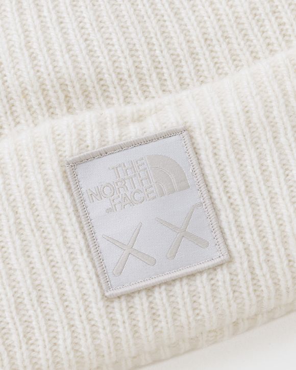 TNF X KAWS 'PROJECT X' BEANIE