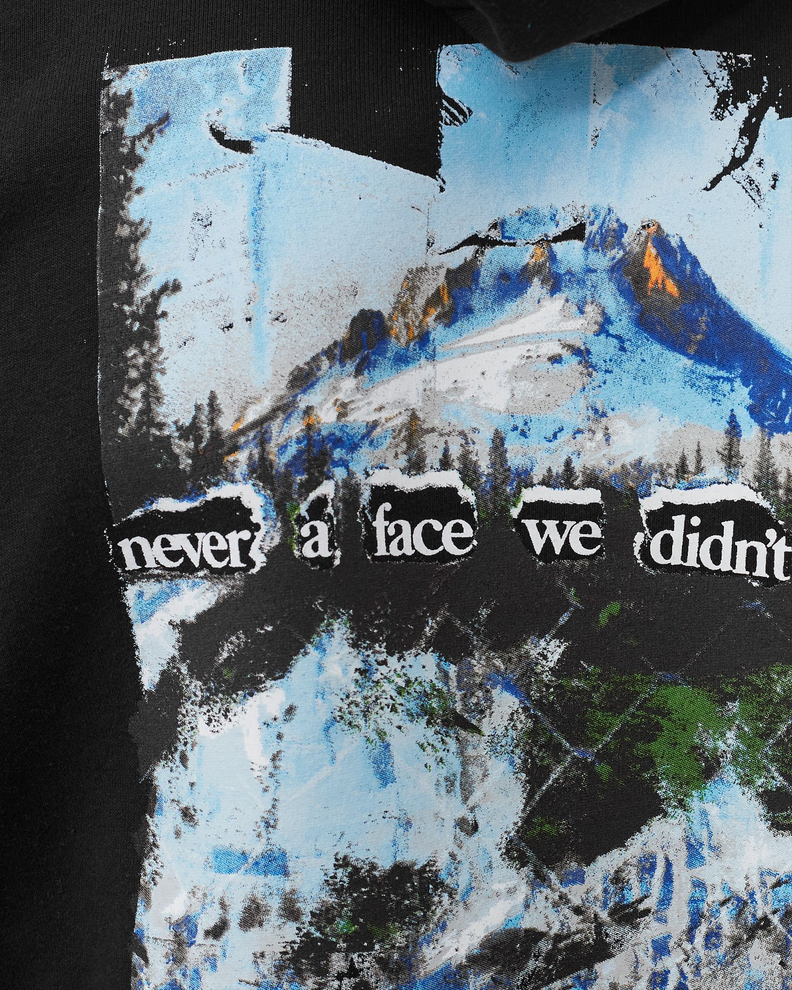 PRINTED HEAVYWEIGHT PULLOVER HOODIE