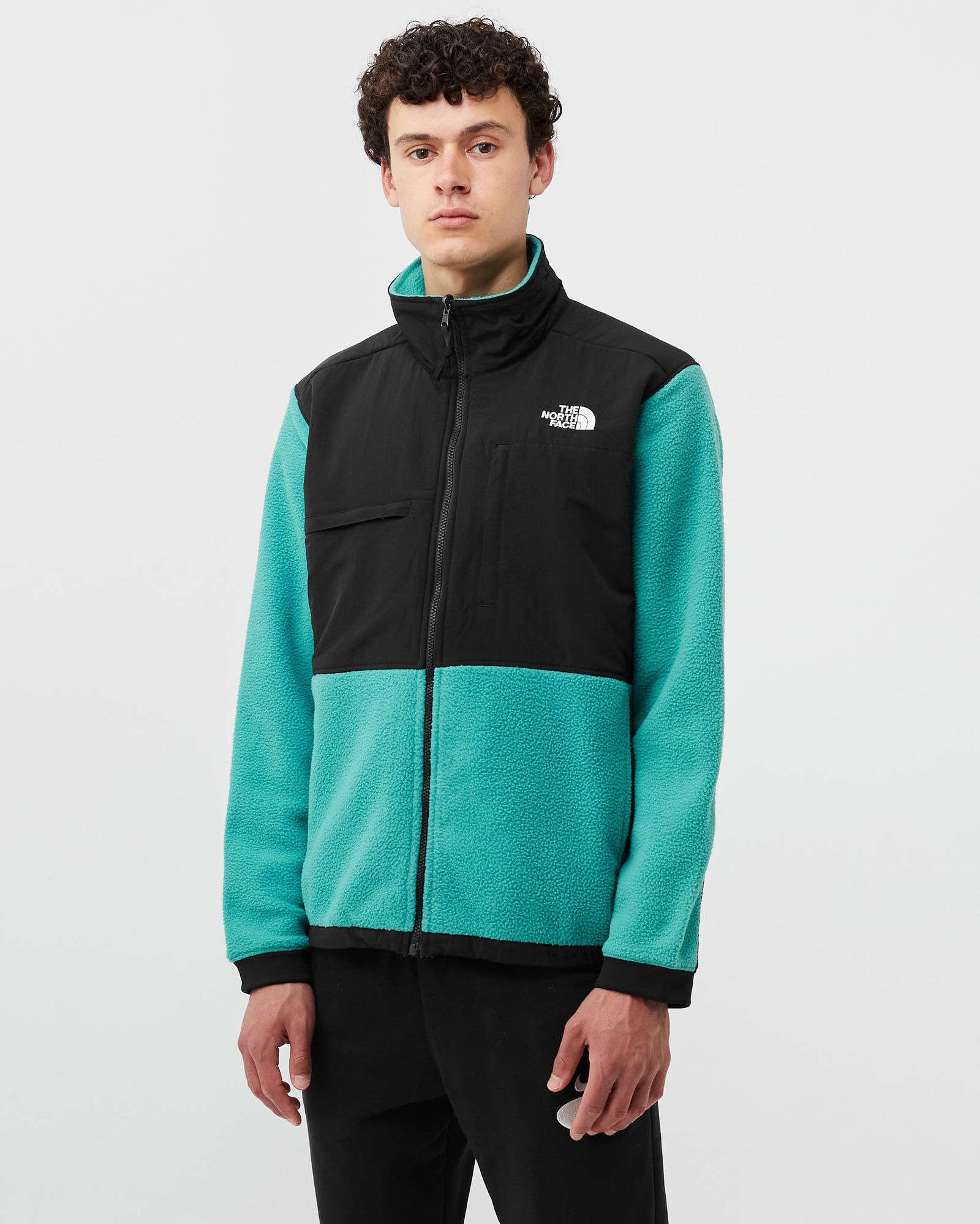 DENALI 2 JACKET
