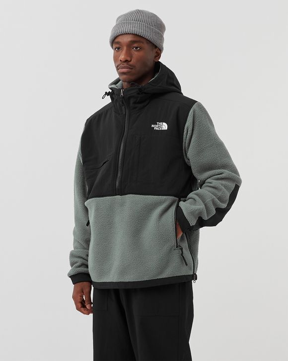 The north face 2025 denali anorak 2